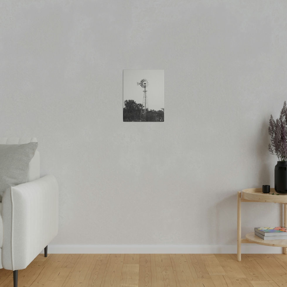 Thumbnail: Black & White Windmill in a Texas Field Matte Canvas Stretched