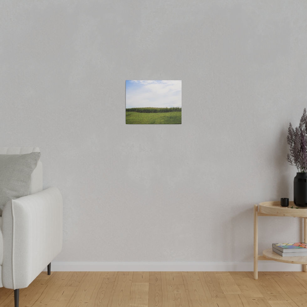 Thumbnail: Edge of a Cornfield Under a Blue Cloudy Sky Color Matte Canvas Stretched