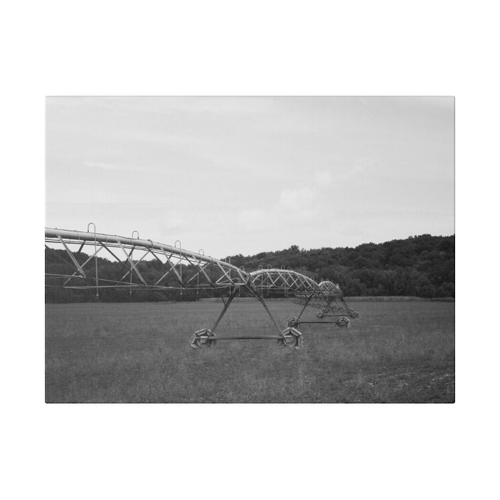 Thumbnail: Black & White Farm Irrigation Sprinkler In a Rural Farm Field Matte Canvas
