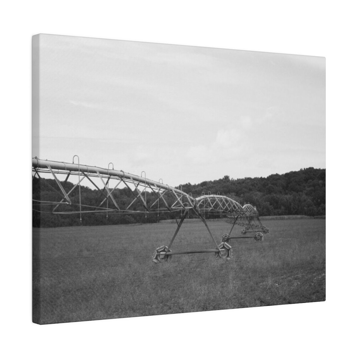 Black & White Farm Irrigation Sprinkler In a Rural Farm Field Matte Canvas
