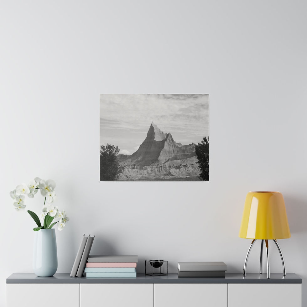 Thumbnail: Black & White Jagged Formation in Badlands Matte Canvas