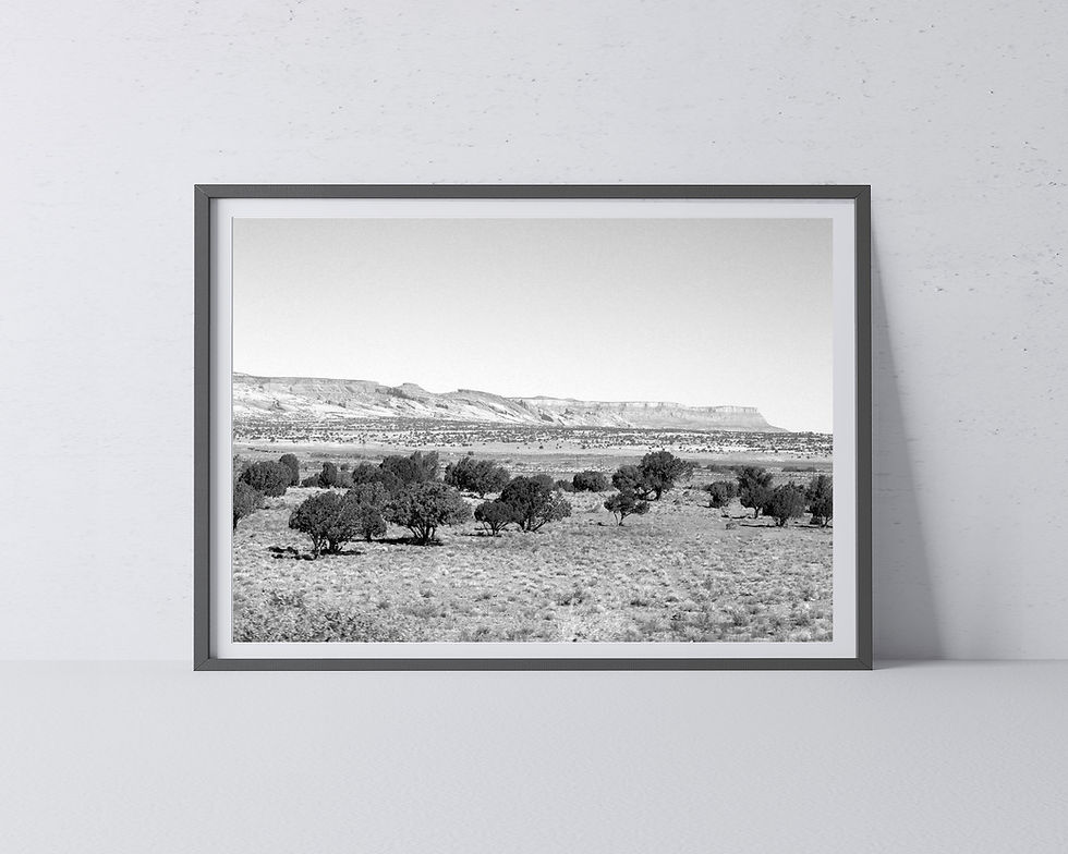 Thumbnail: Black & White Utah Desert Landscape with Trees Photography Print