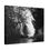 Thumbnail: Black & White Waterfall Through the Trees Matte Canvas