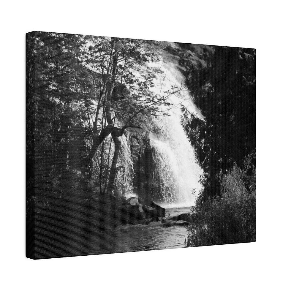 Black & White Waterfall Through the Trees Matte Canvas