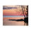 Thumbnail: Lake Horizon with Trees on the Rocky Lakeshore at Dawn Color Matte Canvas