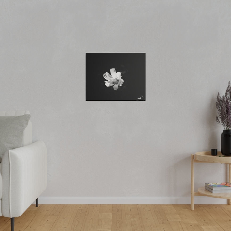 Thumbnail: Black & White Rose of Sharon Flower Hibiscus Matte Canvas Stretched