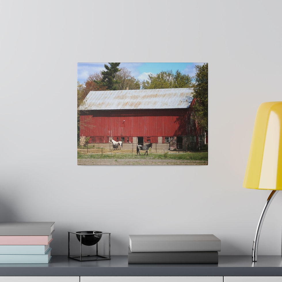 Thumbnail: Old Red Barn with Horses Color Matte Canvas