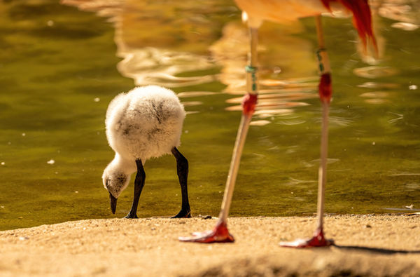 houston-7249-SharpenAI-Focus.jpg