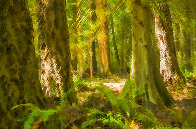 20240902_FlawsinPhotography-5582.jpg