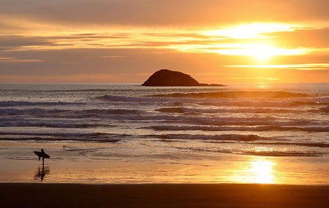 Murawai Beach 