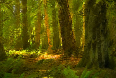 20240902_FlawsinPhotography-5584.jpg