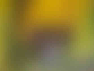 De skønne Kapivarer inviterer til beundring, de hygger sig og går fredeligt omkring langs floden i deltaerne overalt i Brasilien