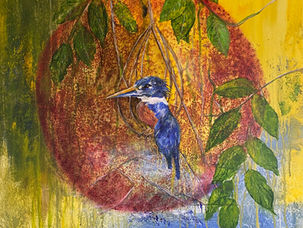 Den lille smukke lynhurtige fugl er beundringsværdig