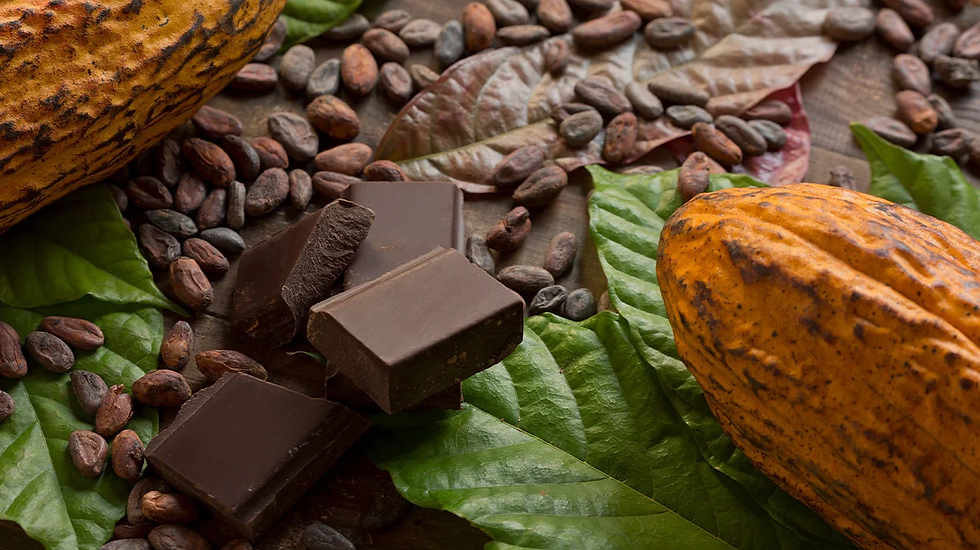 Organic Dark Chocolate