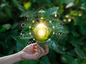 BASF RELEASES ADHESIVES FIT FOR RECYCLING PROCESS