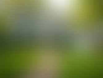 Top Tips for First-Time Home Buyers in North Texas