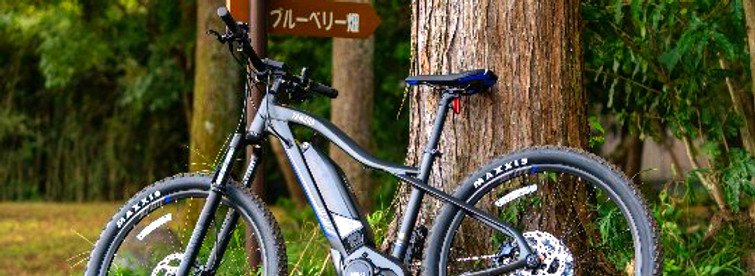 レンタサイクル