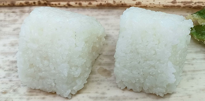 ごはん処 ぞうのめぐみ
