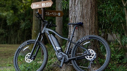 レンタサイクル 電動アシストマウンテンバイク