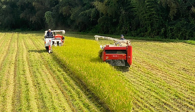 S__70205512_0.jpg