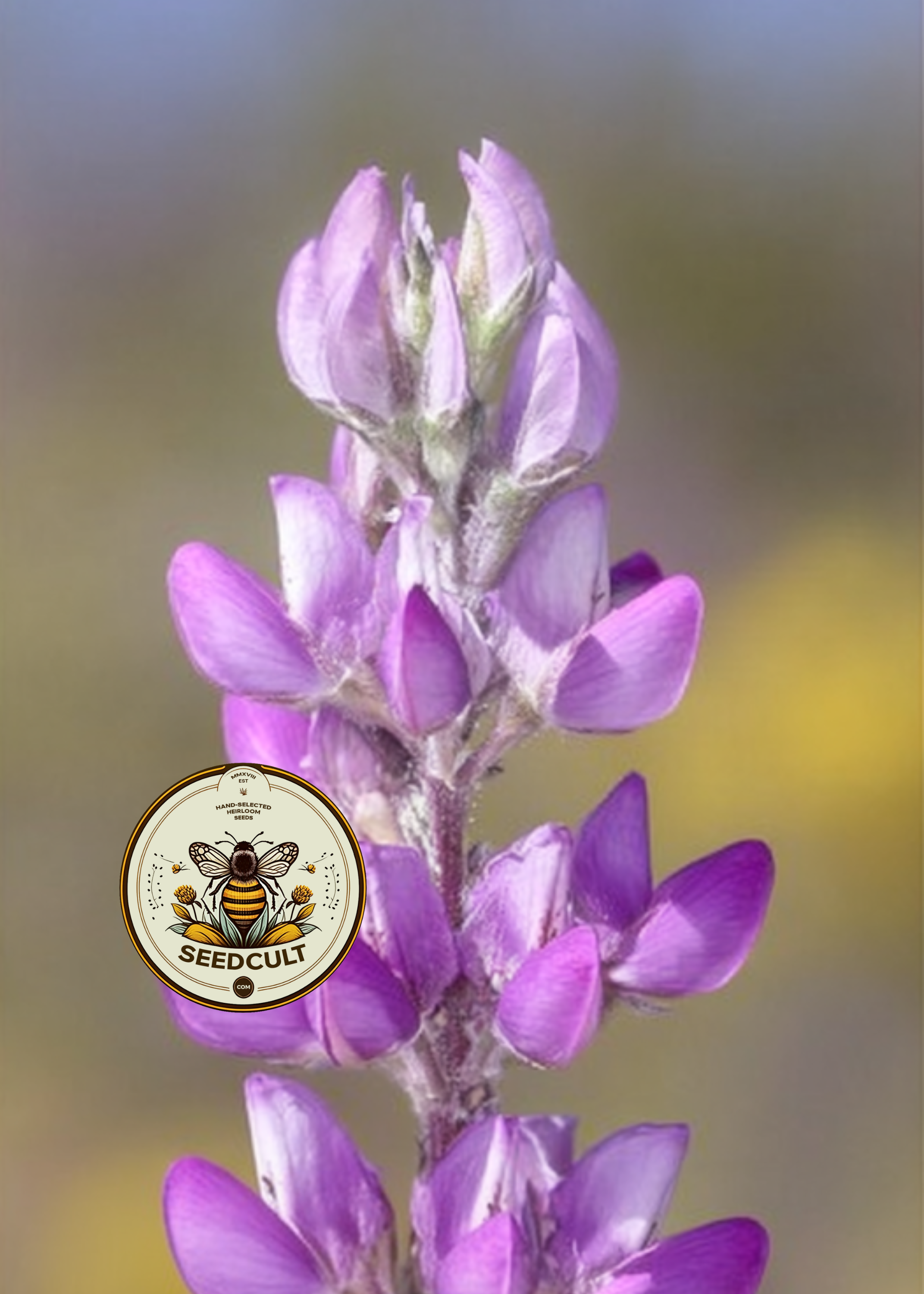 Native Arizona Lupine Seeds, Lupinus Arizonicus, California, Nevada, LP0825