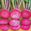 Thumbnail: Candy Stripe Beets, Candy Cane, Bullseye, Beta Vulgaris, BE9315C