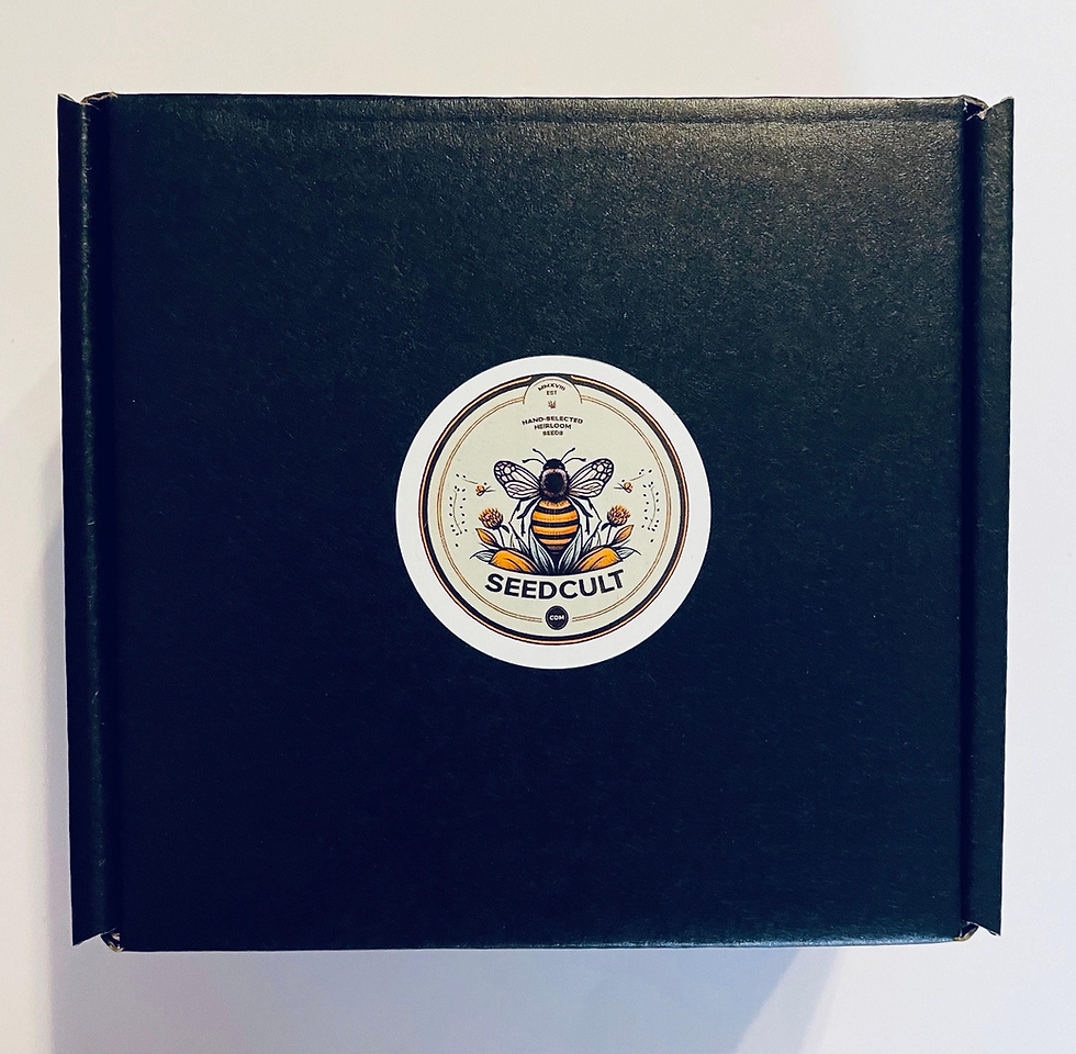 縮圖：Valentine's Day Seed Gift Box! Let Love Bloom, Gift for Gardeners, 01VL10