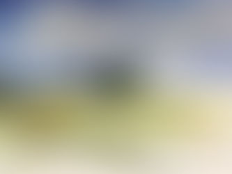 Marin Poetry Center Online Writing Retreat