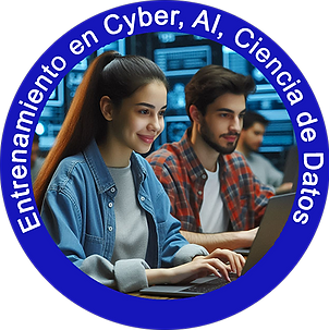 entreamiento cyber.png
