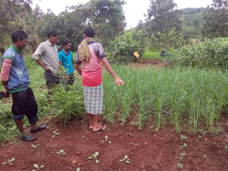 From Subsistence to Model Farmer