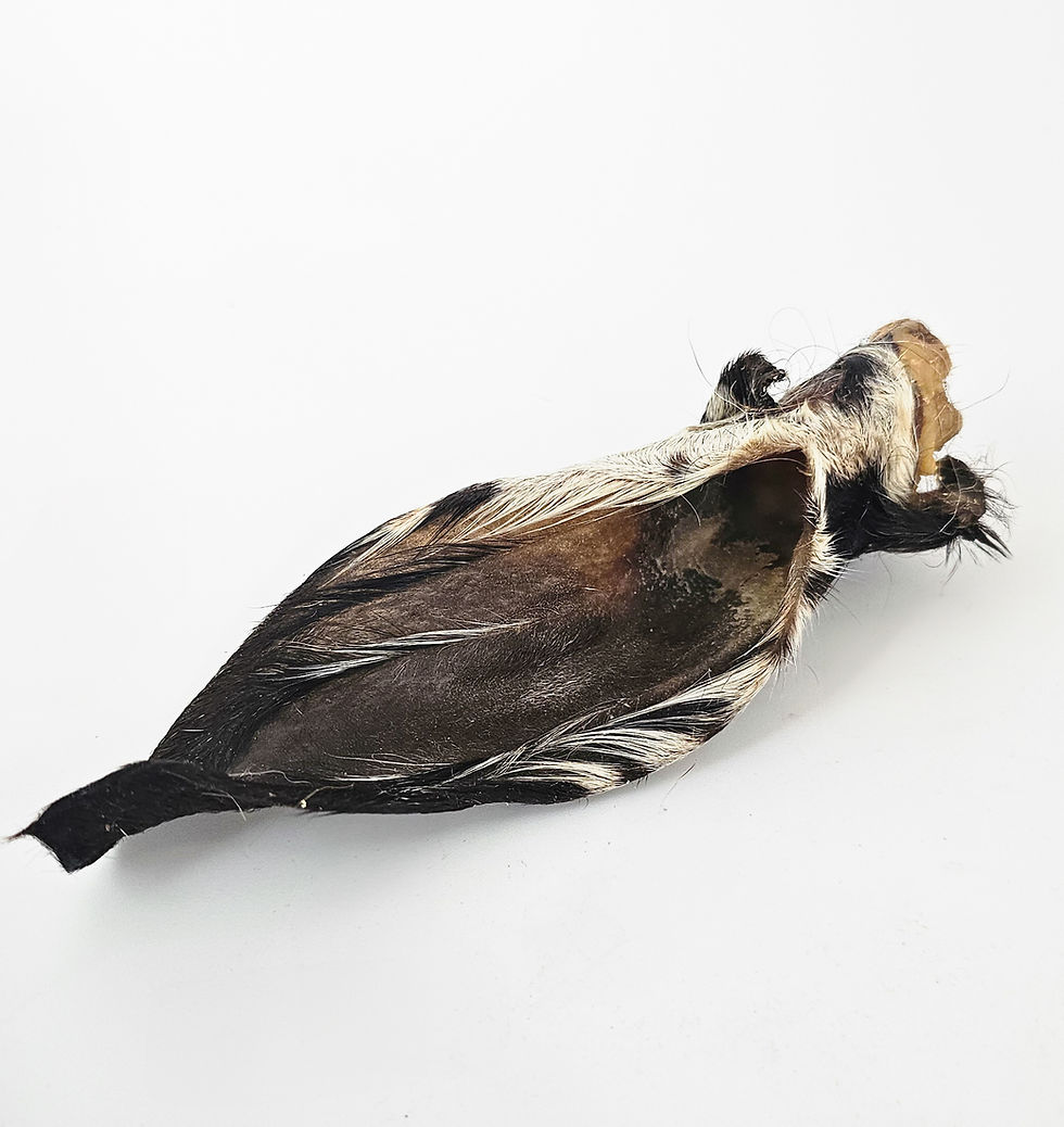 Thumbnail: Nourished Pets Lamb Ears (Air-Dried)