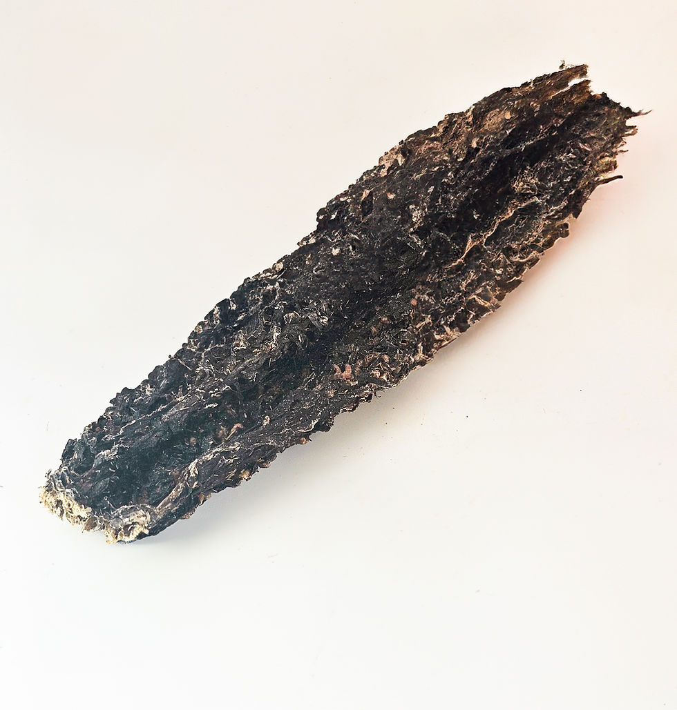 Thumbnail: Nourished Pets Beef Tripe (Air-Dried)