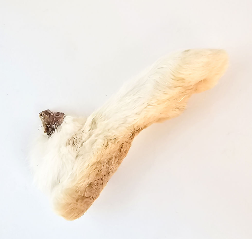 Thumbnail: Nourished Pets Rabbit Feet (Fur On)