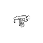Dog Collar - Training