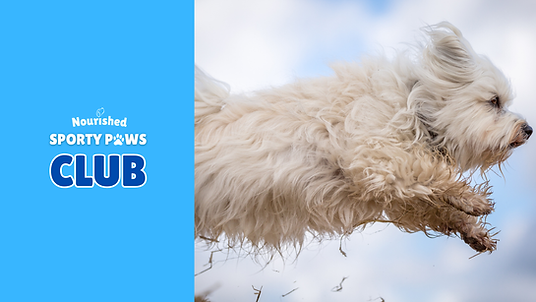 SPORTY PAWS CLUB LOGO cover