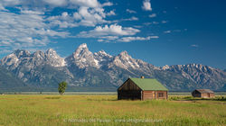 Mormon Row_02