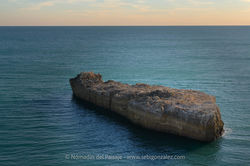 _SEB2360-Editar-Editar