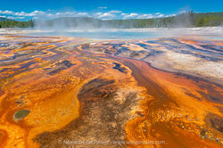 Norris Geyser Basin_08