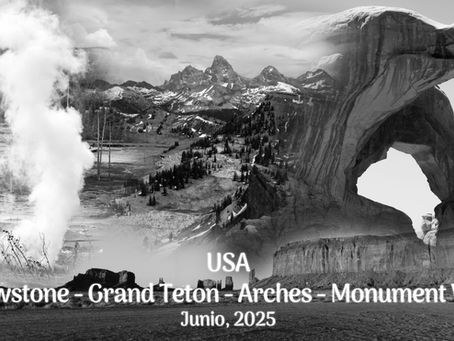 Un paisajístico viaje en blanco y negro