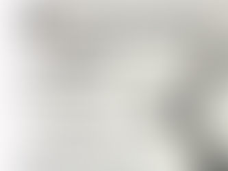 3/21 水墨画ワークショップを開催します。