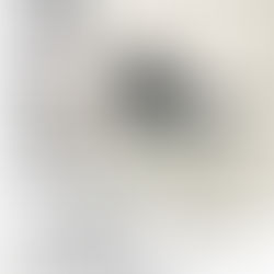 12/7(日)美浜公民館、12/14(日)浦安中央公民館で「馬」水墨画。