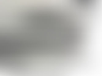 5/29(日)水墨画ワークショップを開催します。