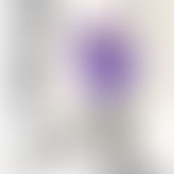 5/17(日)浦安中央公民館、5/24(日)美浜公民館で「花菖蒲」水墨画。