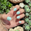 Thumbnail: Spearmint