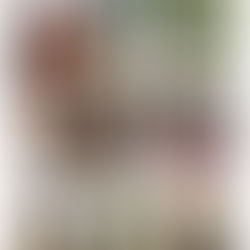 วันนี้ฝนตก