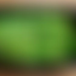 สีเขียวนี้คืออะไร ?