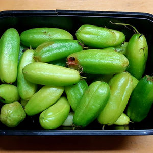 สีเขียวนี้คืออะไร ?