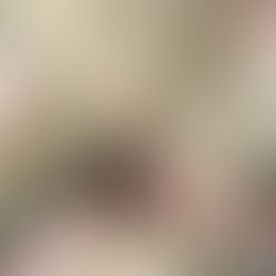 เหล่าไดโนเสาร์