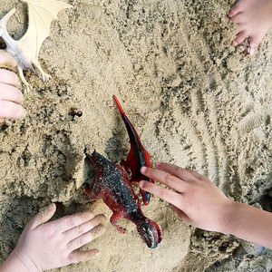 เหล่าไดโนเสาร์