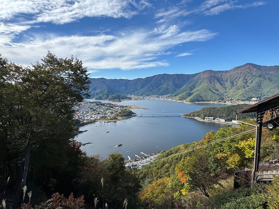 FUJIKAWAGUCHIKO_ROPEWAY.jpeg